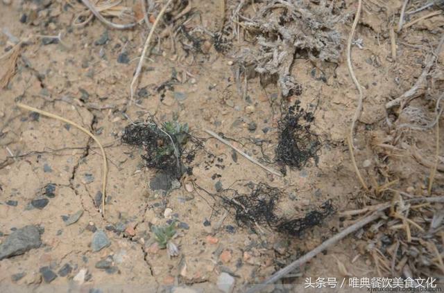 发菜怎么做好吃，西安唯典的师傅教您做几种发菜！