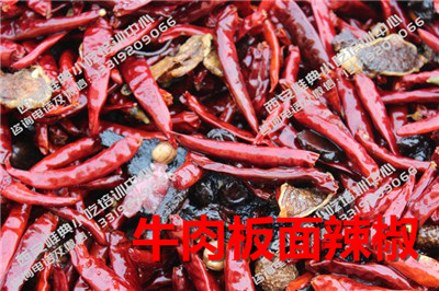 牛肉板面培训